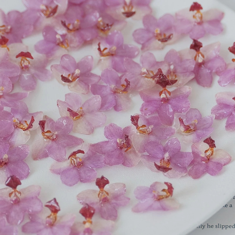 DIY Takı Doğal Pembe Reçine Or - Jewelry Making Event incelemesi ve fiyatı