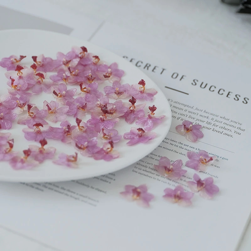 DIY Takı Doğal Pembe Reçine Or - Jewelry Making Event incelemesi ve fiyatı